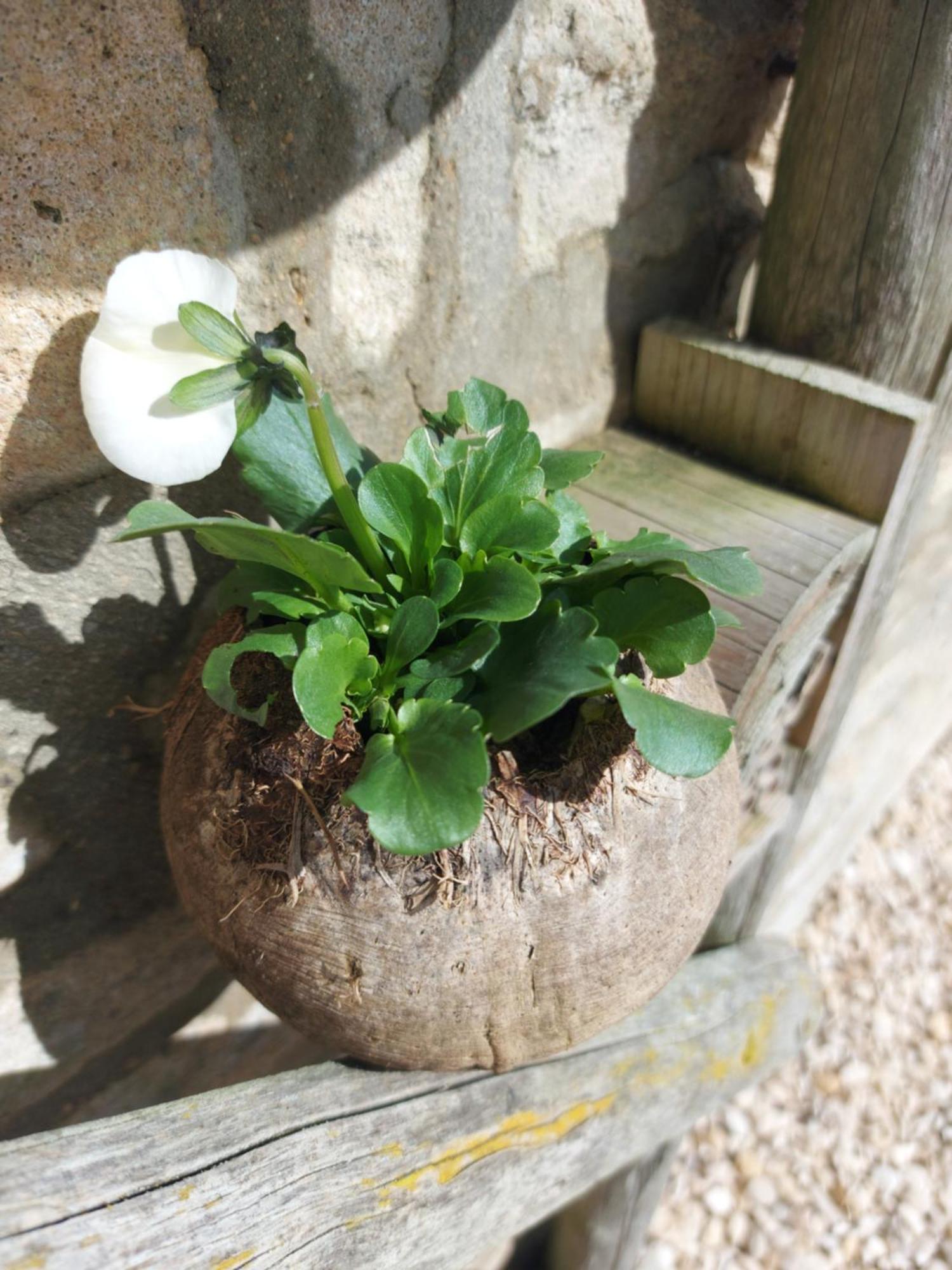 Thames Head Wharf - Historic Cotswold Cottage With Stunning Countryside Views Cirencester Extérieur photo